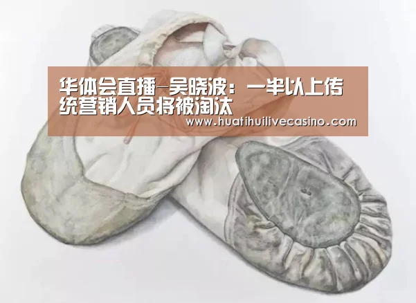 华体会直播-吴晓波:一半以上传统营销人员将被淘汰(图4) 华体会娱乐