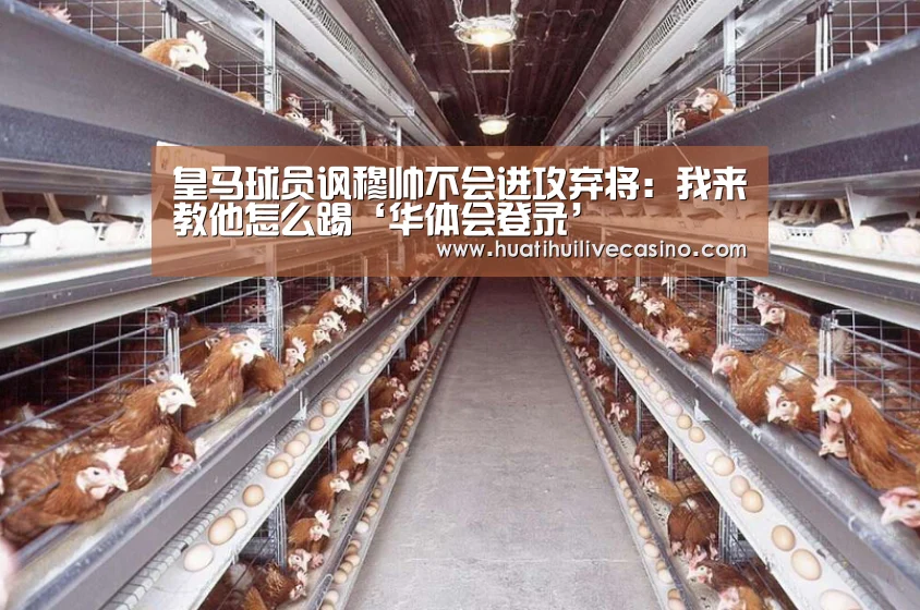 华体会娱乐